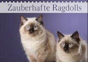 Cover for Noack · Zauberhafte Ragdolls / Geburtstag (Book)