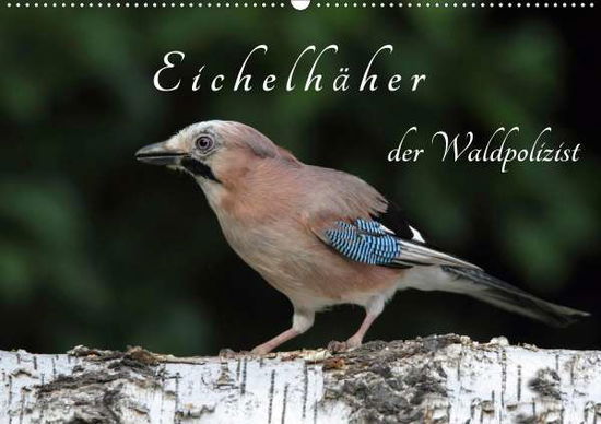 Cover for Konieczka · Eichelhäher der Waldpolizist (Book)