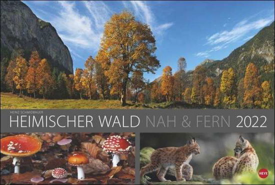 Cover for Schmidbauer · Wald nah und fern Edition K (N/A)