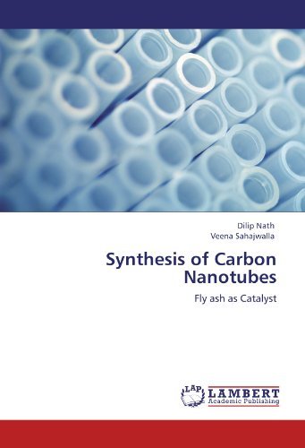Cover for Veena Sahajwalla · Synthesis of Carbon Nanotubes: Fly Ash As Catalyst (Paperback Book) (2011)