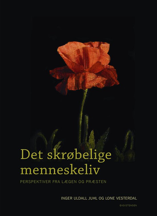 Cover for Inger Uldall Juhl og Lone Vesterdal · Det skrøbelige menneskeliv (Taschenbuch) [1. Ausgabe] (2020)
