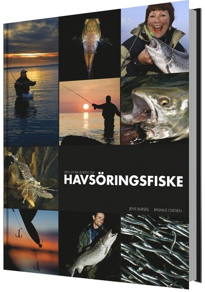 Cover for Rasmus Ovesen · Den stora boken om havsöringsfiske (Gebundesens Buch) (2013)