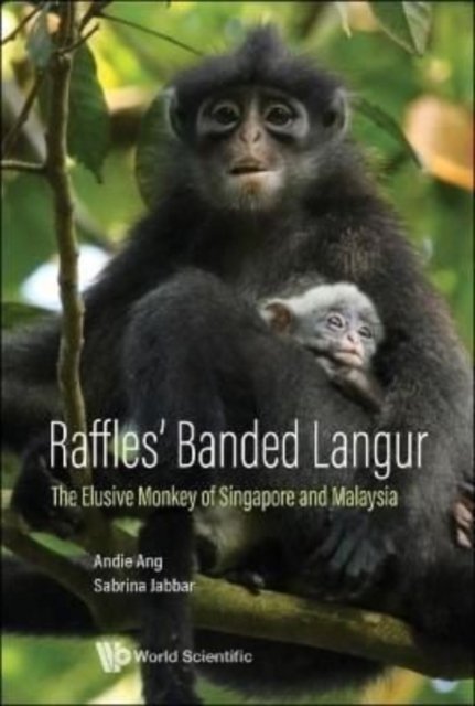 Cover for Ang, Andie (Mandai Nature, S'pore &amp; Raffles' Banded Langur Working Group, S'pore) · Raffles' Banded Langur: The Elusive Monkey Of Singapore And Malaysia (Hardcover Book) (2022)