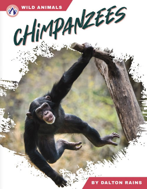 Cover for Dalton Rains · Chimpanzees - Wild Animals Set 2 (Hardcover Book) (2025)