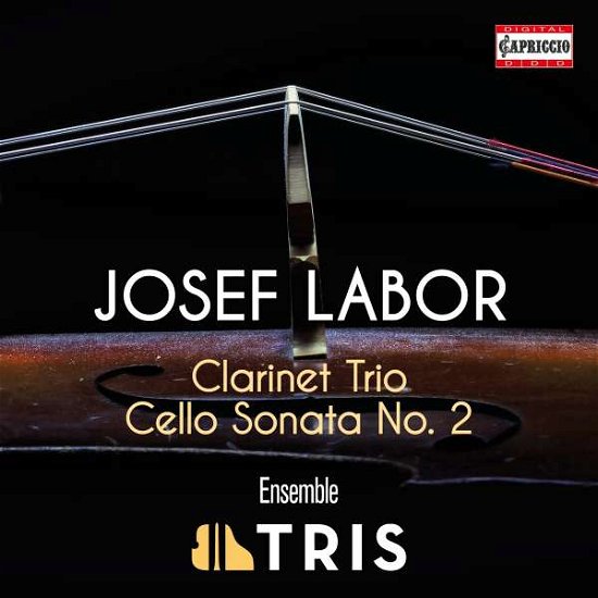 Cover for Ensemble Tris · Labor: Clarinet Trio - Cello Sonata No. 2 (CD) (2022)