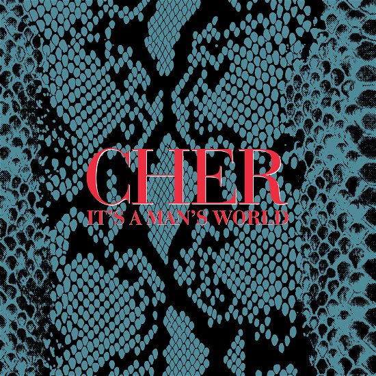 Cover for Cher · It's a Man's World (CD) (2023)