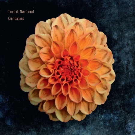 Cover for Turid Nørlund · Curtains (CD) (2013)