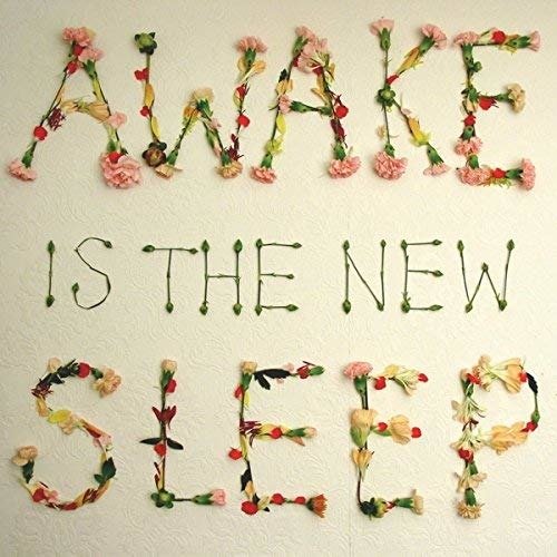 Cover for Lee Ben · Awake Is The New Sleep (CD) (2009)