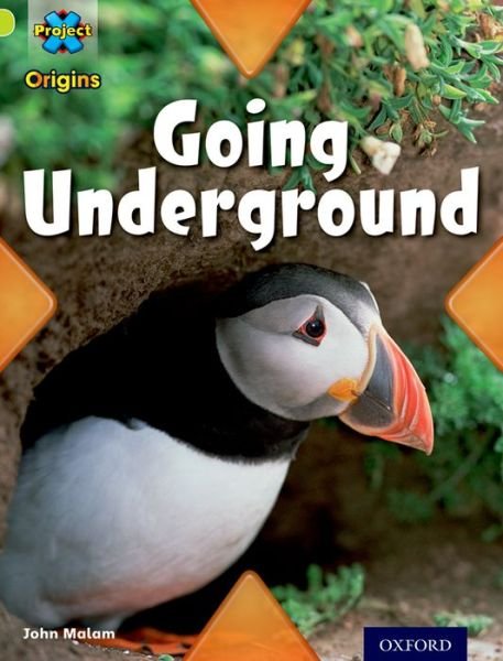 Cover for John Malam · Project X Origins: Lime Book Band, Oxford Level 11: Underground: Going Underground - Project X Origins (Pocketbok) (2014)