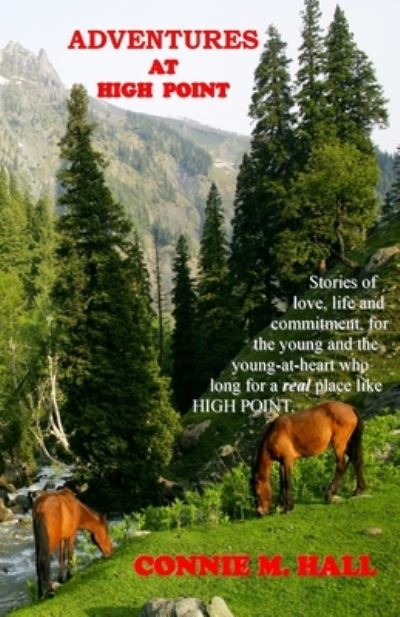 Adventures at High Point: Short Stories About Life - the Way It Used to Be - Connie M Hall - Books - Max Holt Media - 9780996610469 - September 22, 2015