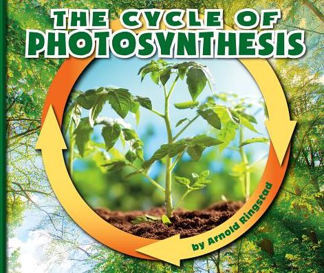 Cover for Arnold Ringstad · The Cycle of Photosynthesis (Hardcover Book) (2019)