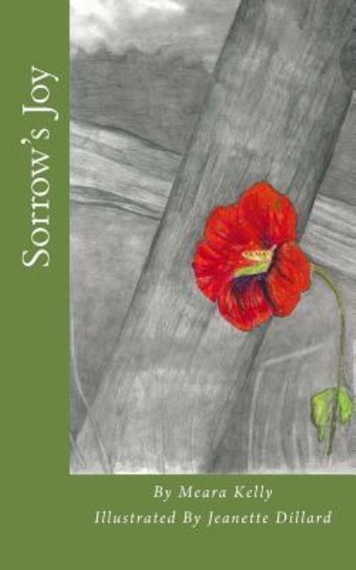 Sorrow's Joy - Meara Kelly - Bøger - Createspace Independent Publishing Platf - 9781523884469 - 24. april 2016