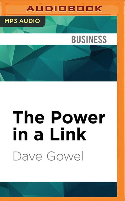 The Power in a Link - Jonathan Davis - Musik - Audible Studios on Brilliance - 9781531816469 - 30. august 2016