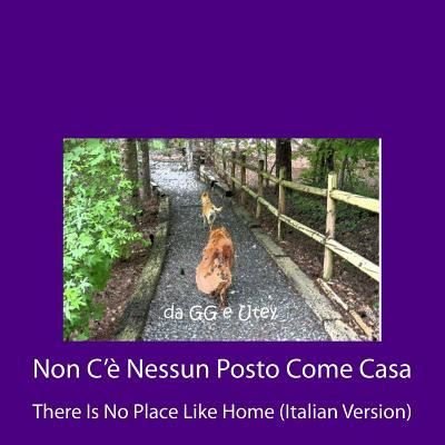 Cover for Gg E Utey · Non C'e Nessun Posto Come Casa (Paperback Bog) (2016)