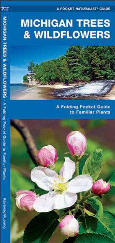 Cover for James Kavanagh · Michigan Trees &amp; Wildflowers: a Folding Pocket Guide to Familiar Species (Pocket Naturalist Guide Series) (Pamphlet) [1st edition] (2018)