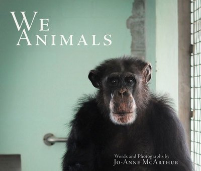 Cover for McArthur, Jo-Anne (Jo-Anne McArthur) · We Animals (Paperback Bog) (2017)