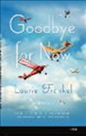 Cover for Laurie Frankel · Goodbye for Now (N/A) (2012)