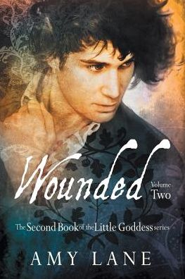 Wounded, Vol. 2 (Editon) - Amy Lane - Książki - DSP Publications - 9781634764469 - 4 sierpnia 2015