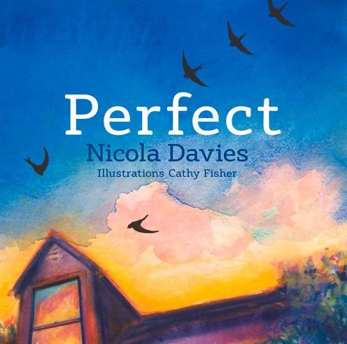 Cover for Nicola Davies · Perfect (Hardcover Book) (2017)
