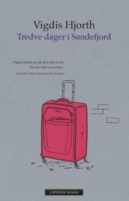 Cover for Vigdis Hjorth · Tredve dager i Sandefjord (Paperback Book) (2017)