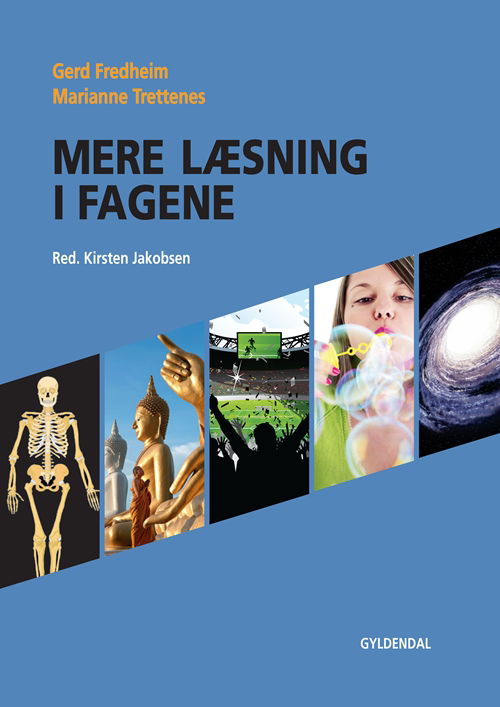 Cover for Gerd Fredheim; Marianne Trettenes · Læring i praksis: Mere læsning i fagene (Sewn Spine Book) [1. wydanie] (2013)