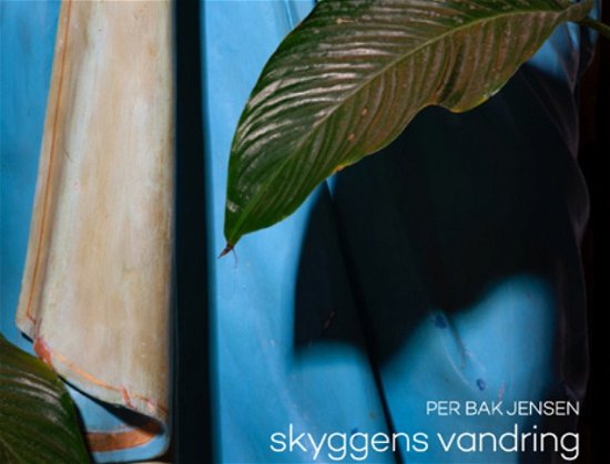Cover for Per Bak Jensen · Skyggens vandring (Bound Book) [1.º edición] (2022)
