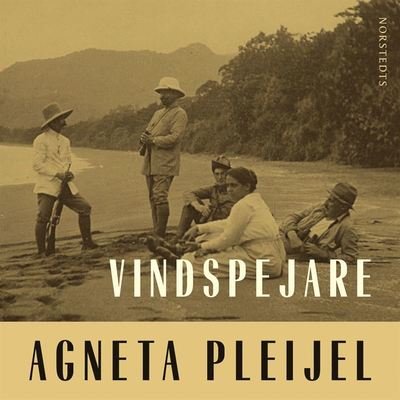 Cover for Agneta Pleijel · Vindspejare : boken om Abel målaren (Hörbuch (MP3)) (2020)