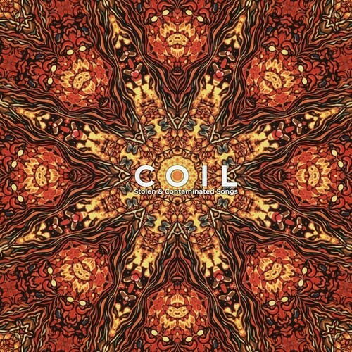 Cover for Coil · Stolen &amp; Contaminated Songs (LP) (2020)