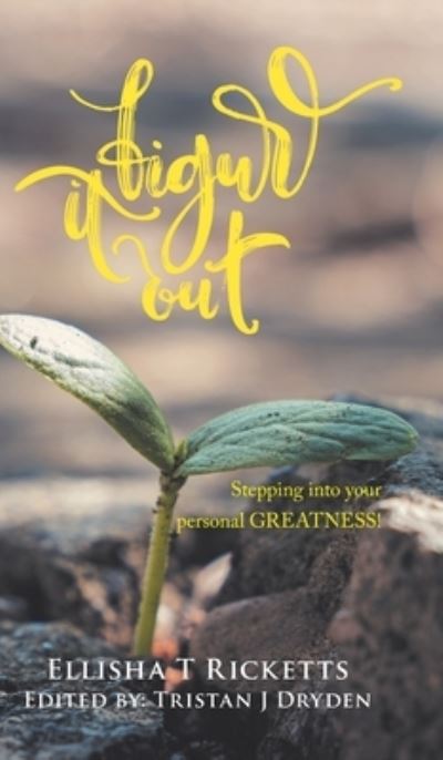 Cover for Ellisha T Ricketts · Figure It Out! (Hardcover Book) (2020)