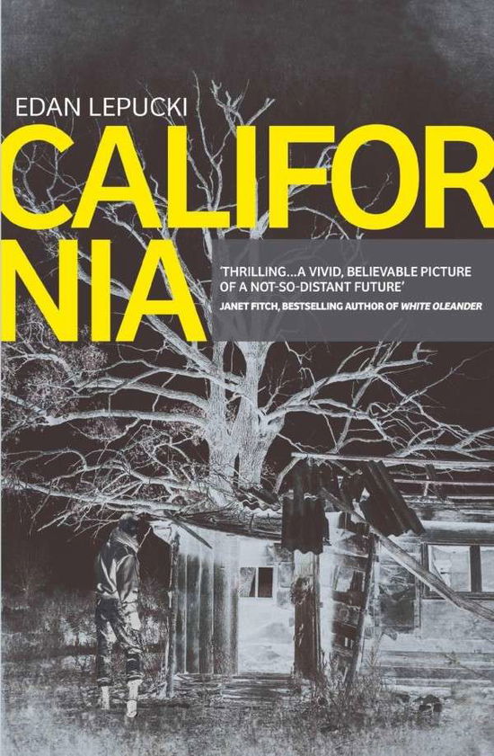 Cover for Edan Lepucki · California (Paperback Book) (2015)