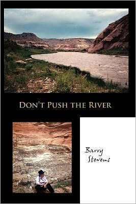 Cover for Barry Stevens · Don't Push the River: It Flows by Itself (Paperback Book) (2005)