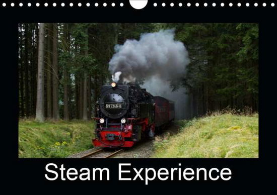 Cover for Maurer · Steam Experience (Wall Calendar (Book)