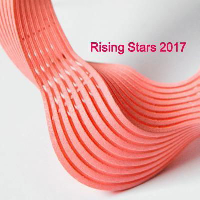 Cover for New Ashgate Gallery · Rising Stars 2017 (Paperback Bog) (2017)