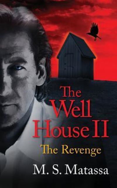 Cover for M S Matassa · The Well House II: The Revenge (Paperback Book) (2016)