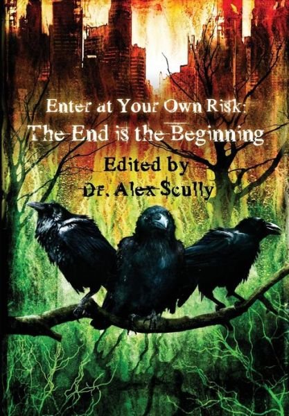 Cover for B E Scully · Enter at Your Own Risk: the End is the Beginning (Paperback Bog) (2014)