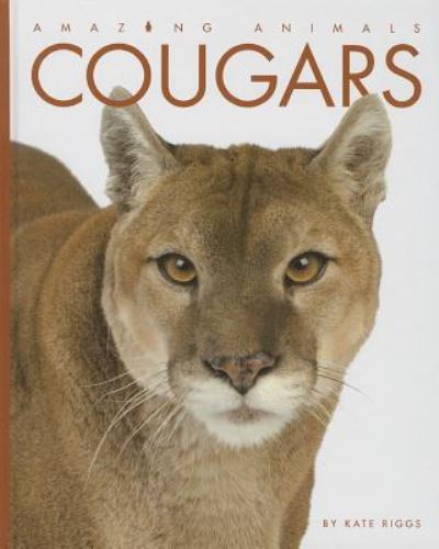 Cover for Kate Riggs · Cougars (Amazing Animals (Creative Education Hardcover)) (Hardcover Book) (2014)