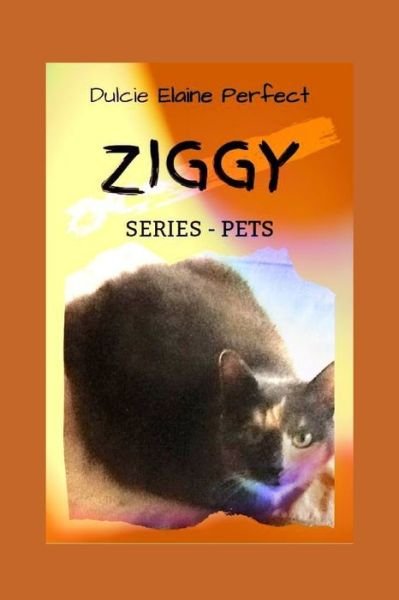 Cover for Dulcie Elaine Perfect · Ziggy (Pocketbok) (2019)