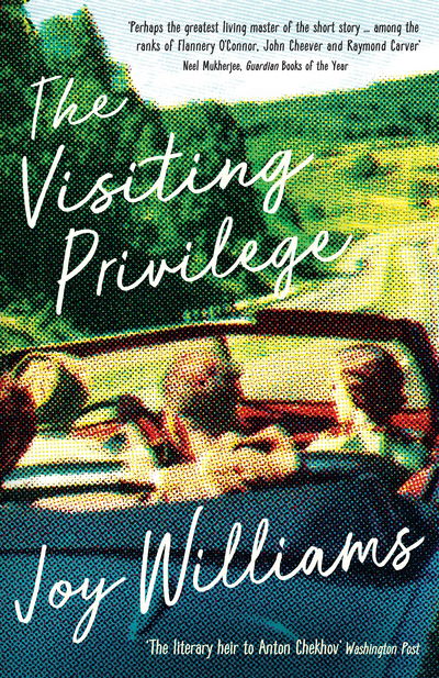 Cover for Joy Williams · The Visiting Privilege (Paperback Bog) [Main edition] (2017)