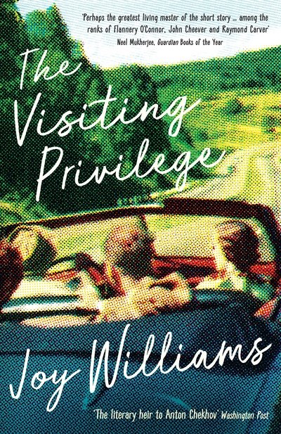 Cover for Joy Williams · The Visiting Privilege (Paperback Book) [Main edition] (2017)
