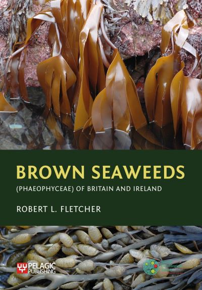 Cover for Robert L. Fletcher · Brown Seaweeds (Phaeophyceae) of Britain and Ireland - Seaweeds of the British Isles (Hardcover Book) (2024)