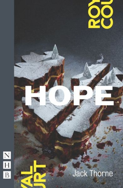 Hope - NHB Modern Plays - Jack Thorne - Książki - Nick Hern Books - 9781848424470 - 27 listopada 2014