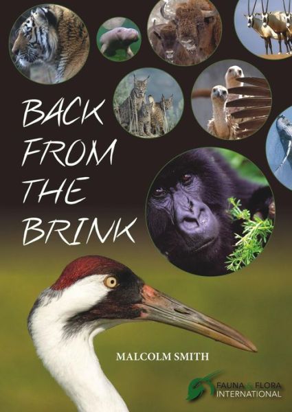 Cover for Malcolm Smith · Back from the Brink (Paperback Book) (2015)