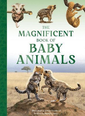 The Magnificent Book of Baby Animals - The Magnificent Book of - Barbara Taylor - Books - Weldon Owen Children's Books - 9781915588470 - November 21, 2024
