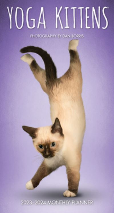 Cover for Browntrout · Yoga Kittens 2023 Pocket Planner (Calendar) (2022)