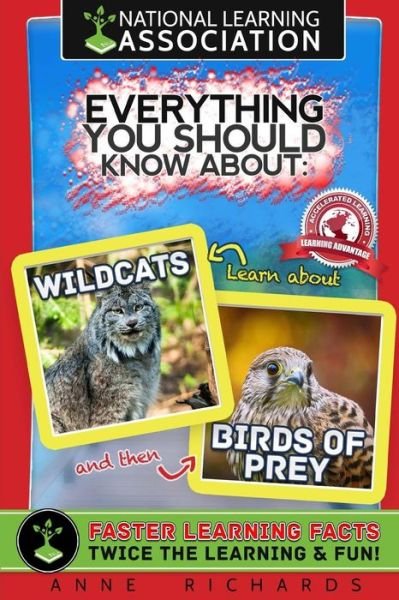 Cover for Anne Richards · Everything You Should Know About Wildcats and Birds of Prey (Paperback Book) (2018)