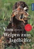 Vom Welpen zum Jagdhelfer - Hans-Jürgen Markmann - Livros - Kosmos - 9783440174470 - 17 de março de 2023