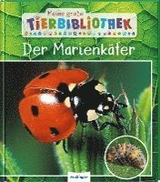 Cover for Valérie Tracqui · Meine große Tierbibliothek: Der Marienkäfer (Hardcover Book) (2021)