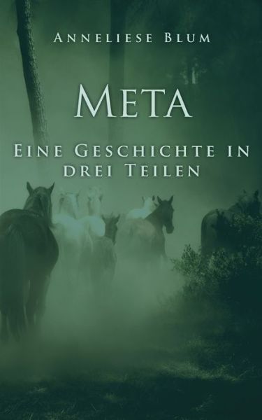 Cover for Blum · Meta (Book) (2018)