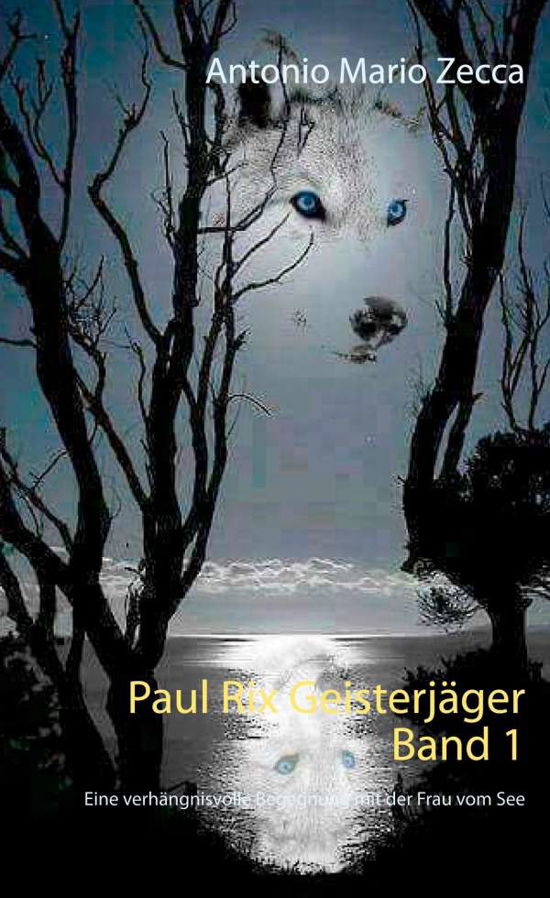 Paul Rix Geisterjäger Band 1 - Zecca - Książki -  - 9783752686470 - 