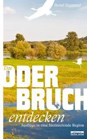 Cover for Bernd Siegmund · Das Oderbruch entdecken (Pocketbok) (2022)